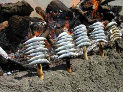 Skewers of sardines cooked on the beech
