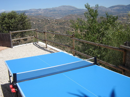 Full sized exterior ping pong table
